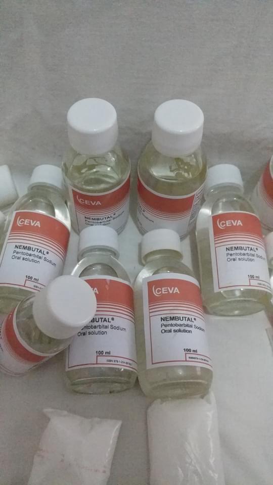 Comprar Nembutal Pentobarbital Sódico Comprar Nembutal Pentobarbital Sódico